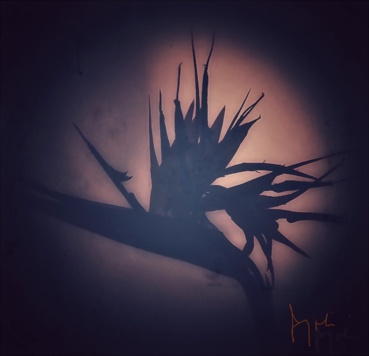 IAM_NFT_ART's tweet photo. @elyxart “IAM SILHOUETTE”

From our Abstraction collection! 
also check👇

IAM FOLIAGE is coming to Opensea on the 21st of March at 12:30 PM GMT

Check link in our bio for more details!
#nftartwork #rarible #metaverse #btc #nftsstories #digitalartist #animation #cryptonews #modernart https://t.co/AiVskYyNY2