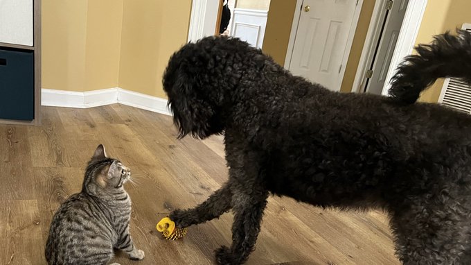 Watch Tanya Tehanna's leaked NSFW photo on TwXstars