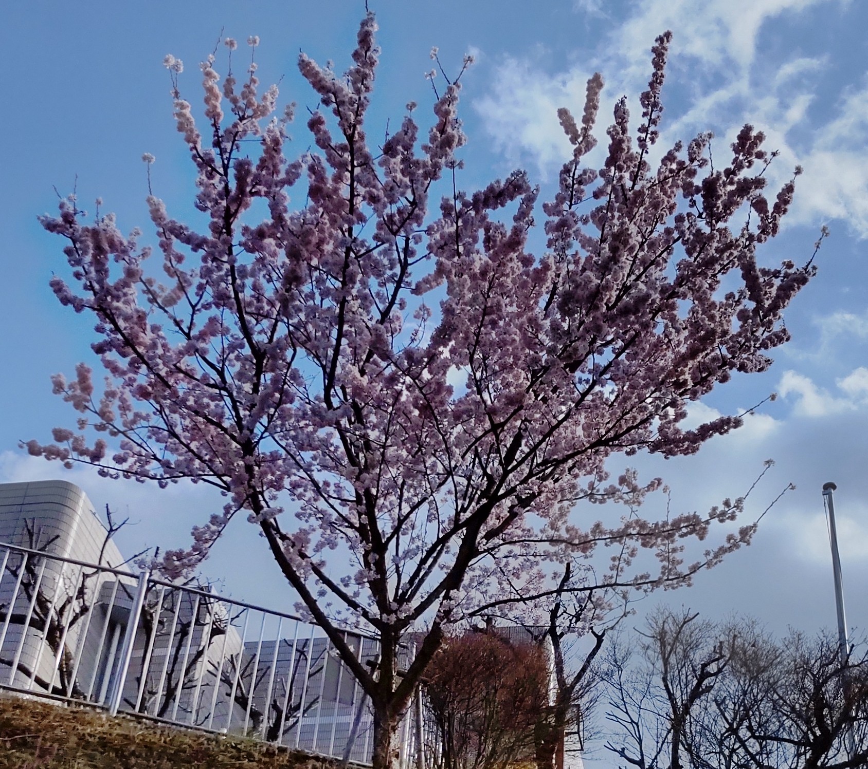 壮瞥温泉 温泉旅館いこい荘 相互フォロー１００ Ikoisou2522 Twitter