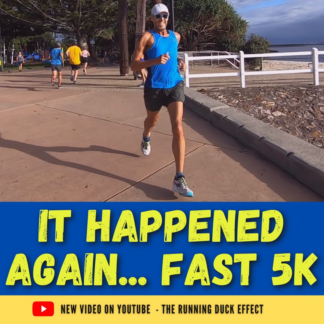 duck_effect's tweet photo. Tough afternoon on the trails this afternoon. Almost twice the elevation of last week's run 825m to 1472m. #uta100training continues. Not like my fast 5km where it seemed to be effortlessly. There's a new video on my YouTube channel. Here's the link ...... https://t.co/mar30a0HC8 https://t.co/2SXvvDQIdz