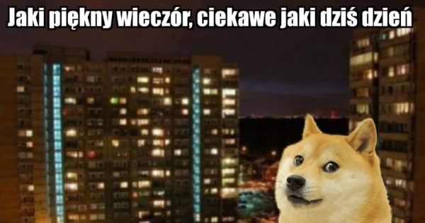 Helenka tweet media