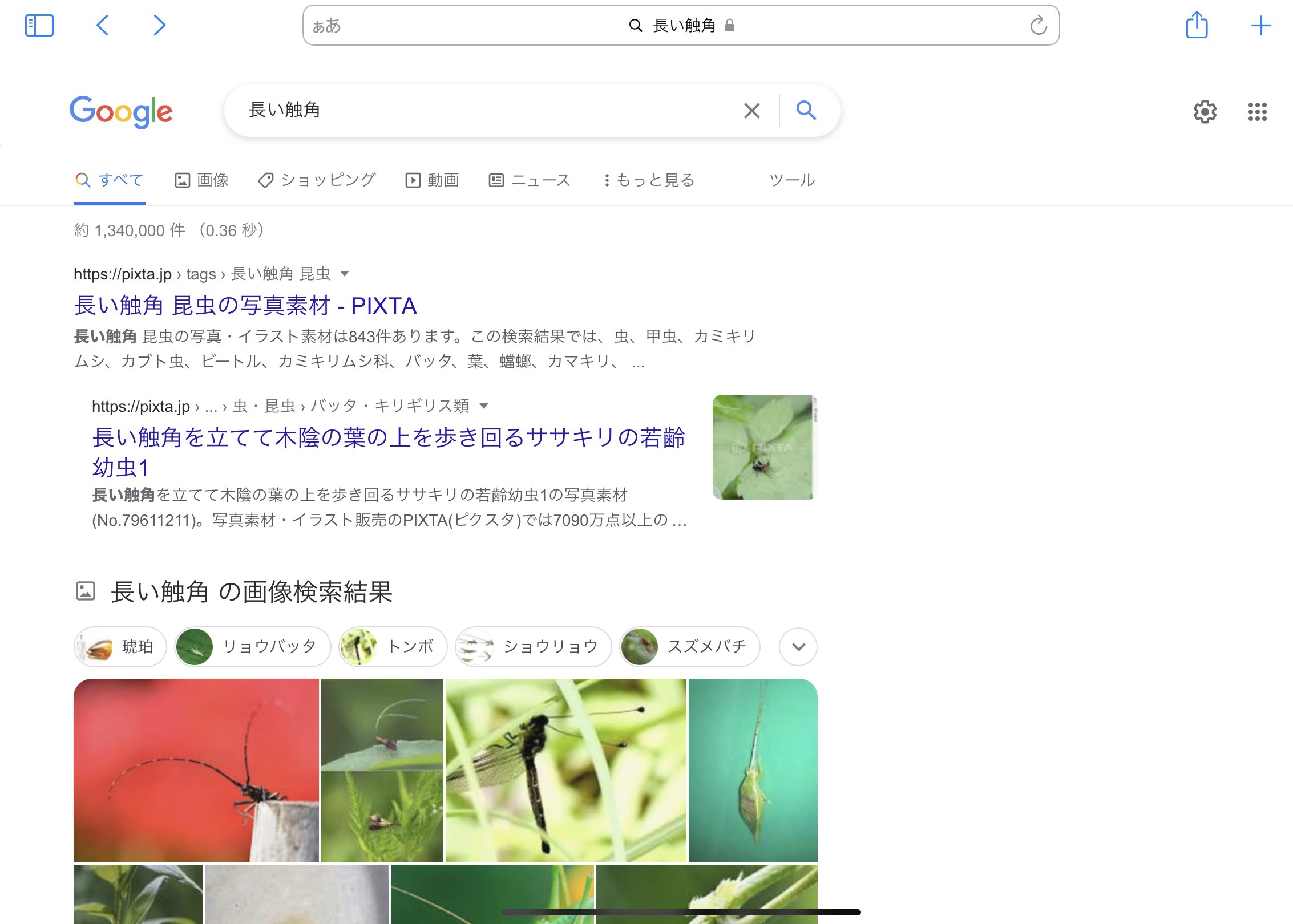 硝子迷宮回廊 Grassylabyrin Twitter