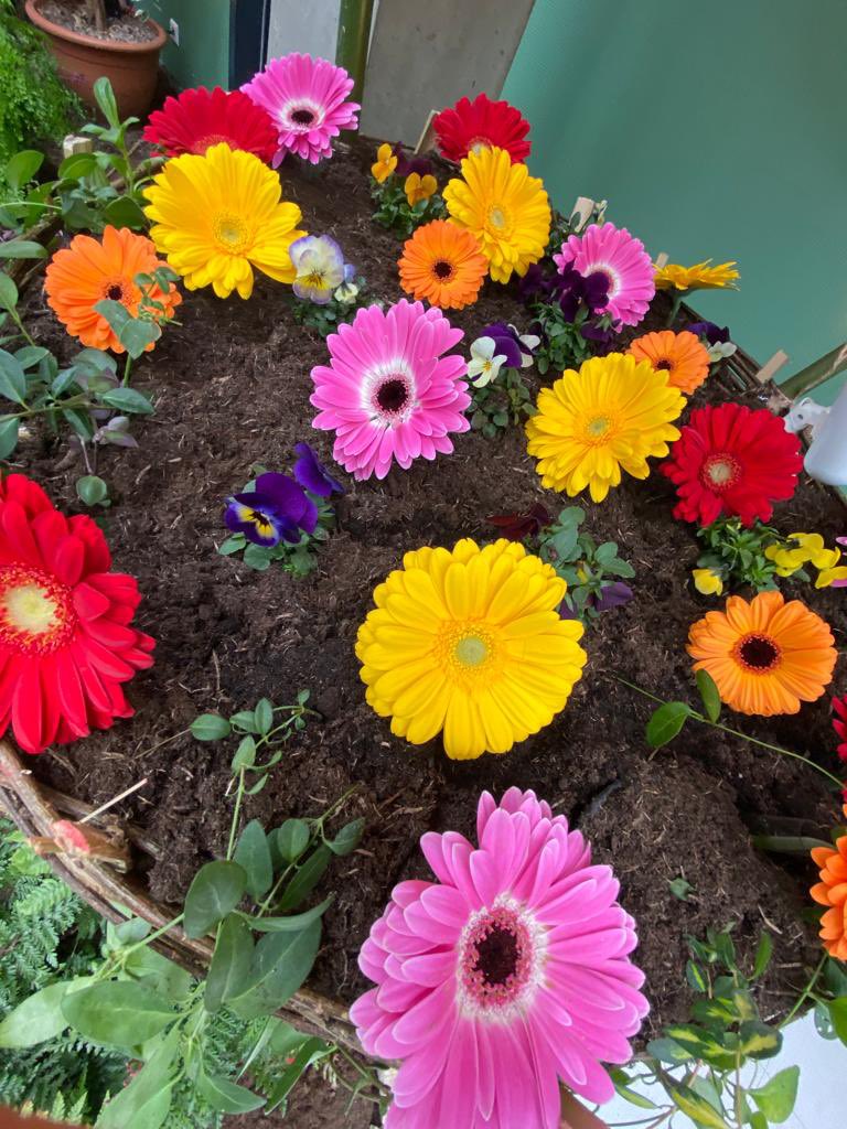 Angers's tweet photo. Tous les deux ans, une exposition florale est préparée dans les locaux de l’institut Agro Rennes-Angers, à #Angers. Sa 22e édition se termine aujourd’hui avec l’arrivée du Printemps ! Cette 22e édition a pour thème Les souf’fleurs de rêves. https://t.co/qkzQHjpOxR #vegetalangers https://t.co/1TN35QcuGW