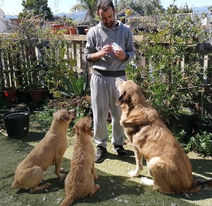 HMalaguenas's tweet photo. Bueno chicos,no son buenos tiempos para los humanos y las cosas están algo complicadas.
Nos hemos apretado el cinturón todos para que no os falte de nada pero no nos queda mucho pienso y vamos a pedir que nos echen una patita.Pediremos pienso o lo que los seguidores puedan.👏🐾😘 https://t.co/jxmk0113uL