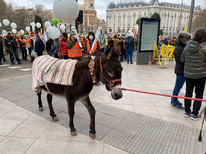 MaríaMálaga Ⓥ🌱 tweet media