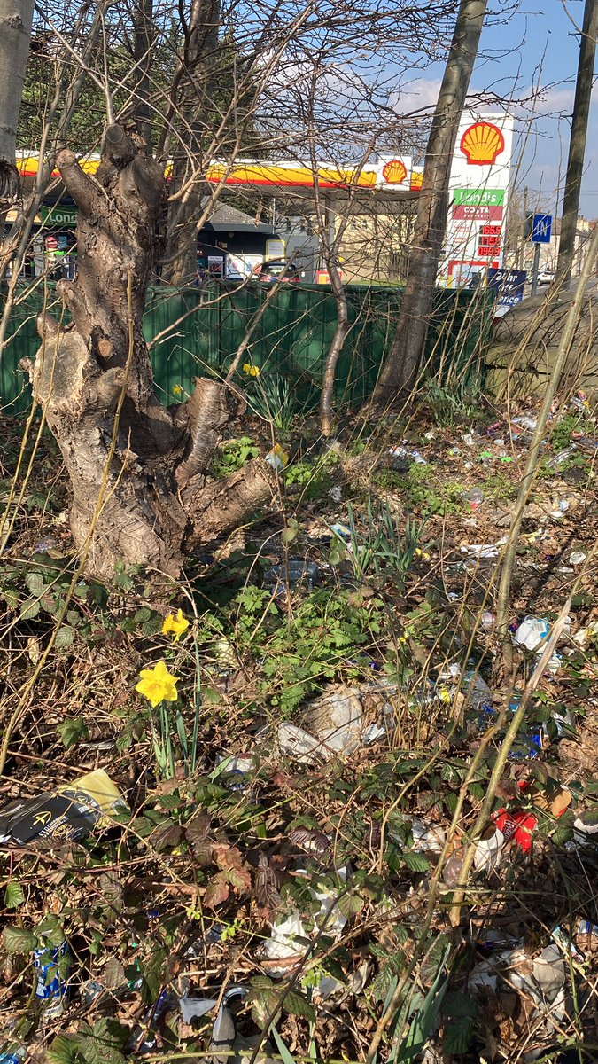 Dicky5976's tweet photo. This is just awful @EnvAgency @YvetteCooperMP @denisemjeffery #litter in #LockLane #Castleford #KeepCastlefordTidy #KeepBritianTidy ๐ฎ https://t.co/r4L2yhyLLK