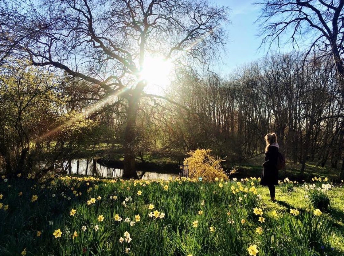 OxfordDiplomat's tweet image. “You normally have to be bashed about a bit by life to see the point of daffodils, sunsets, and uneventful nice days” 

– Alain de Botton @magdalenoxford