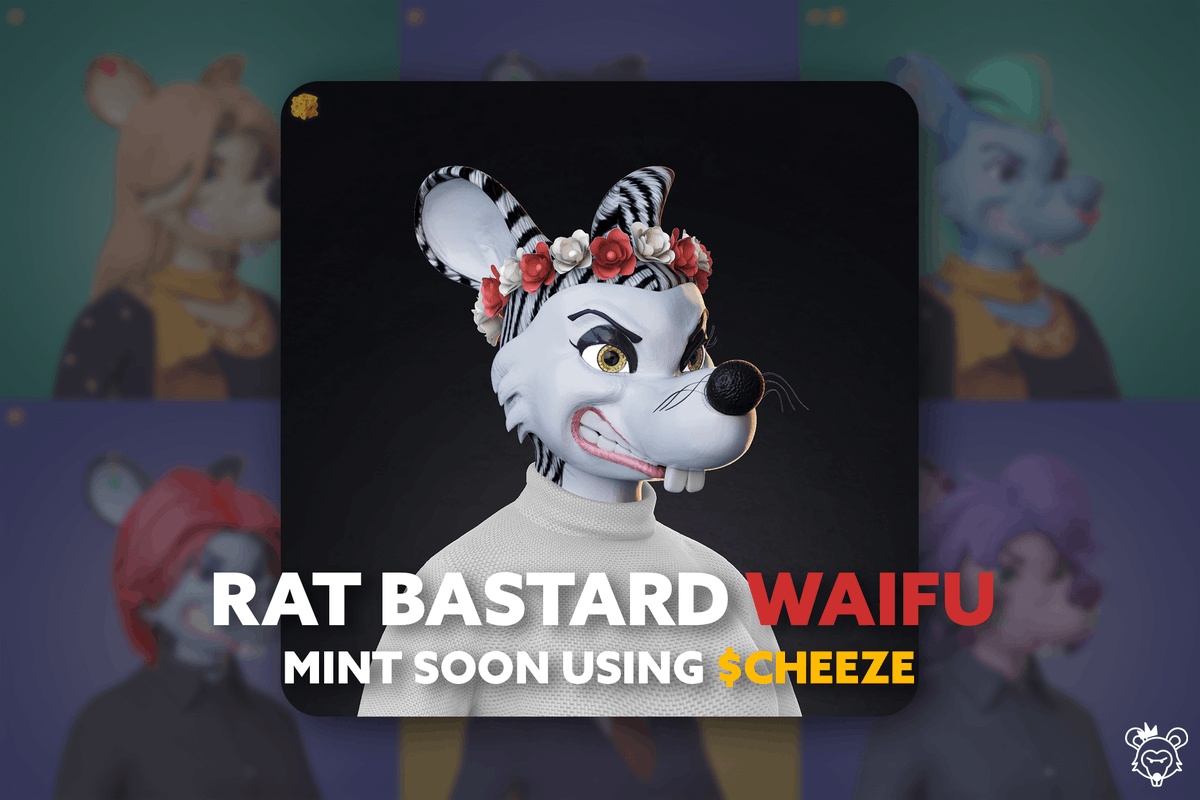 Waifu Mint :
- Date : SOON
- Mint Price : 5 $Cheeze
- $Cheeze on Raydium : 
raydium.io/swap/?inputCur…
- Holding a Rat Bastard
magiceden.io/marketplace/ra…