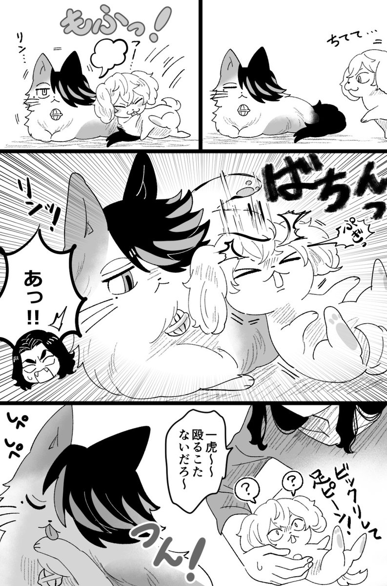 かずとらの猫パンチとポメマ 