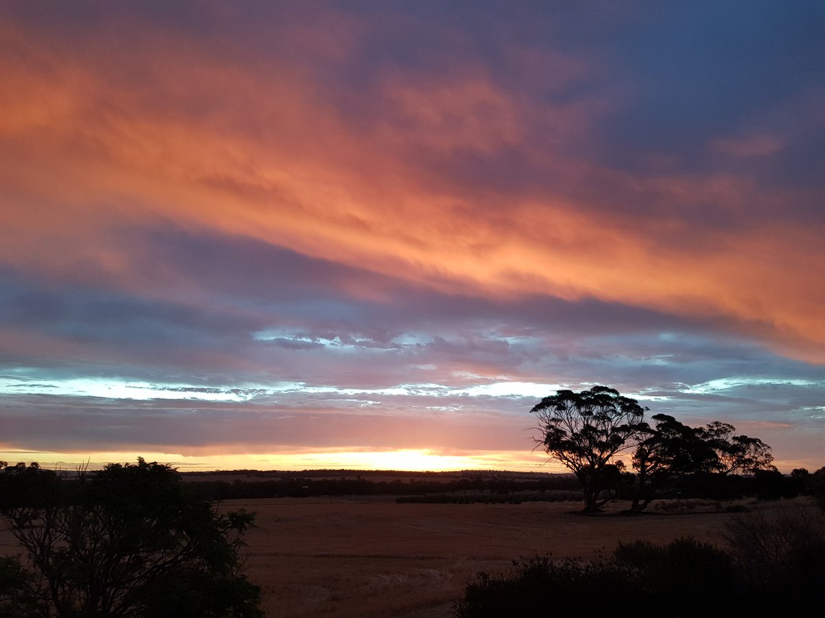 Thinking of all the people, and their beloved pets, caught up in the terrible situation in Ukraine... Mum cries every night when the tv news comes on ...

#CatsOnTwitter 
#PetsAreGood