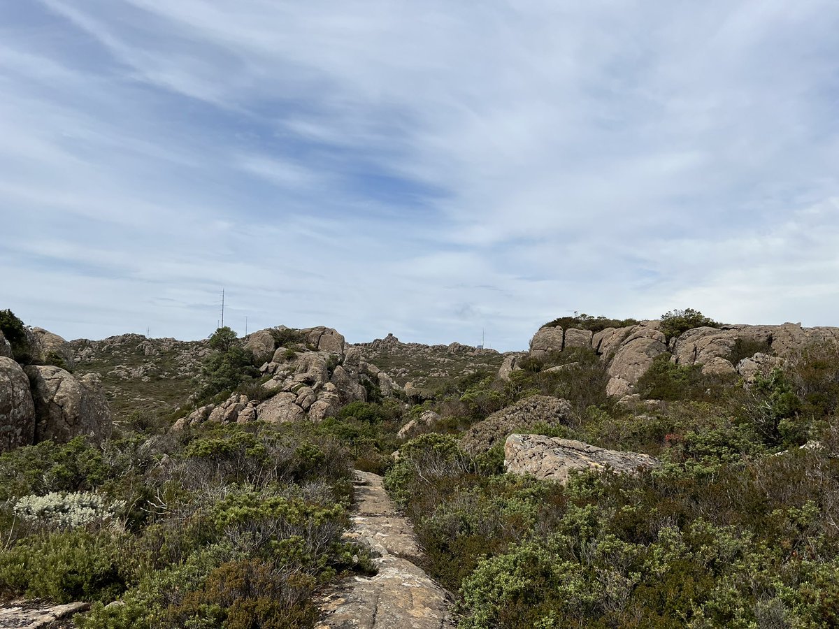 ocelotte's tweet photo. Climbed #MtArthur https://t.co/Qcv2905kyE