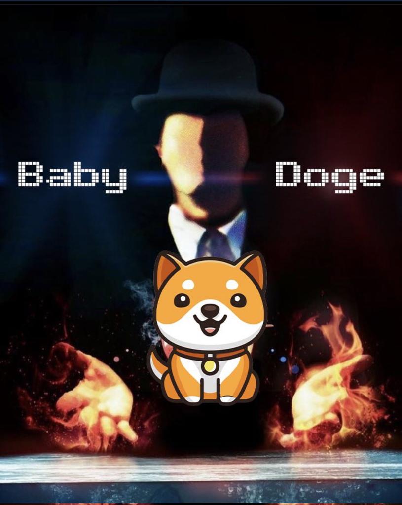 Deinha22's tweet photo. @AscendEX_Global #BabyDogeCoin https://t.co/3OTMsAfnZ9