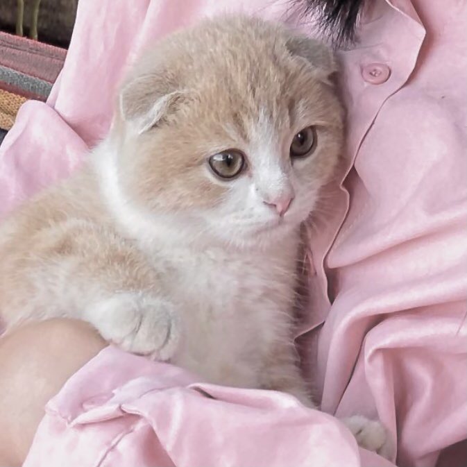 You're so cute.