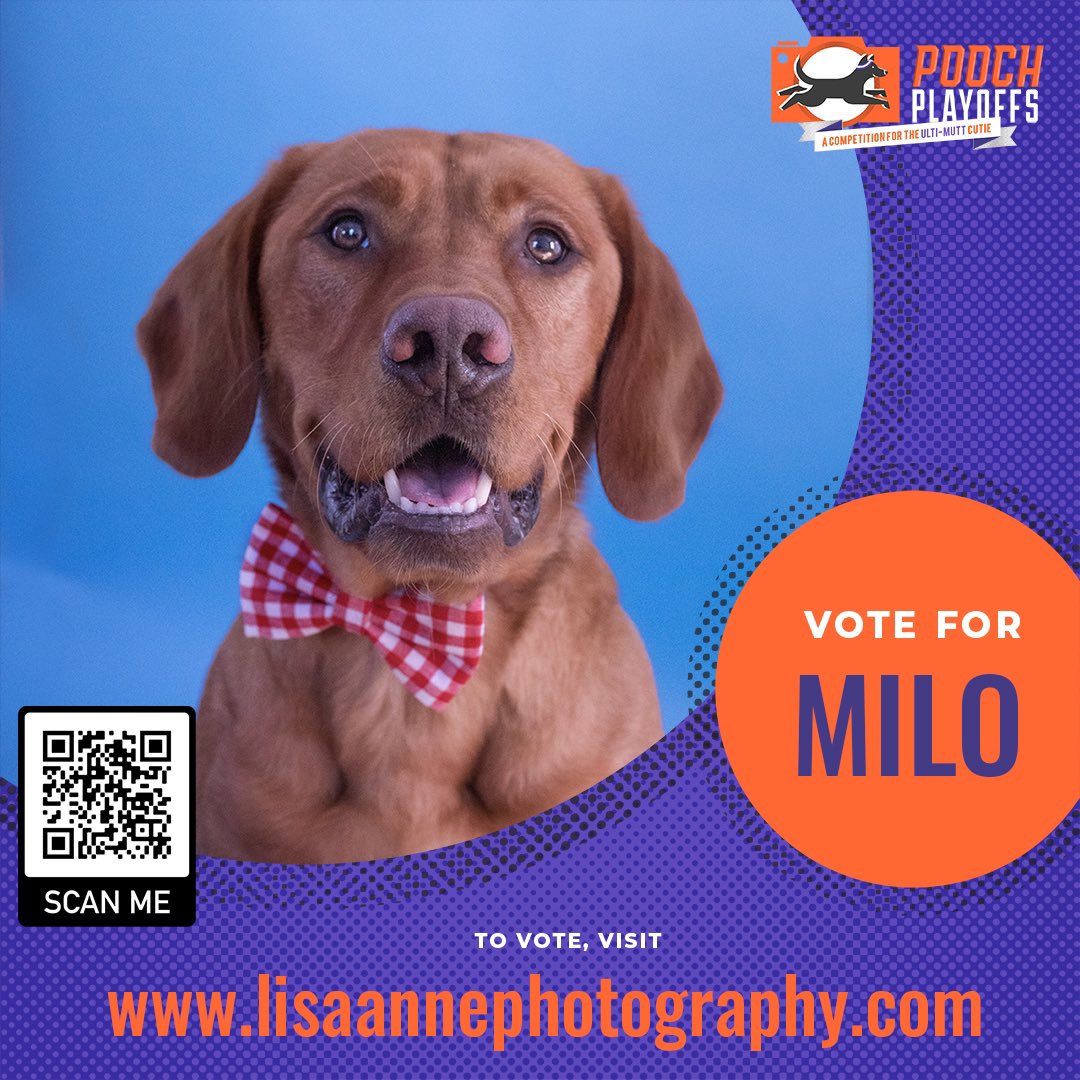 Jacki Wincek tweet media