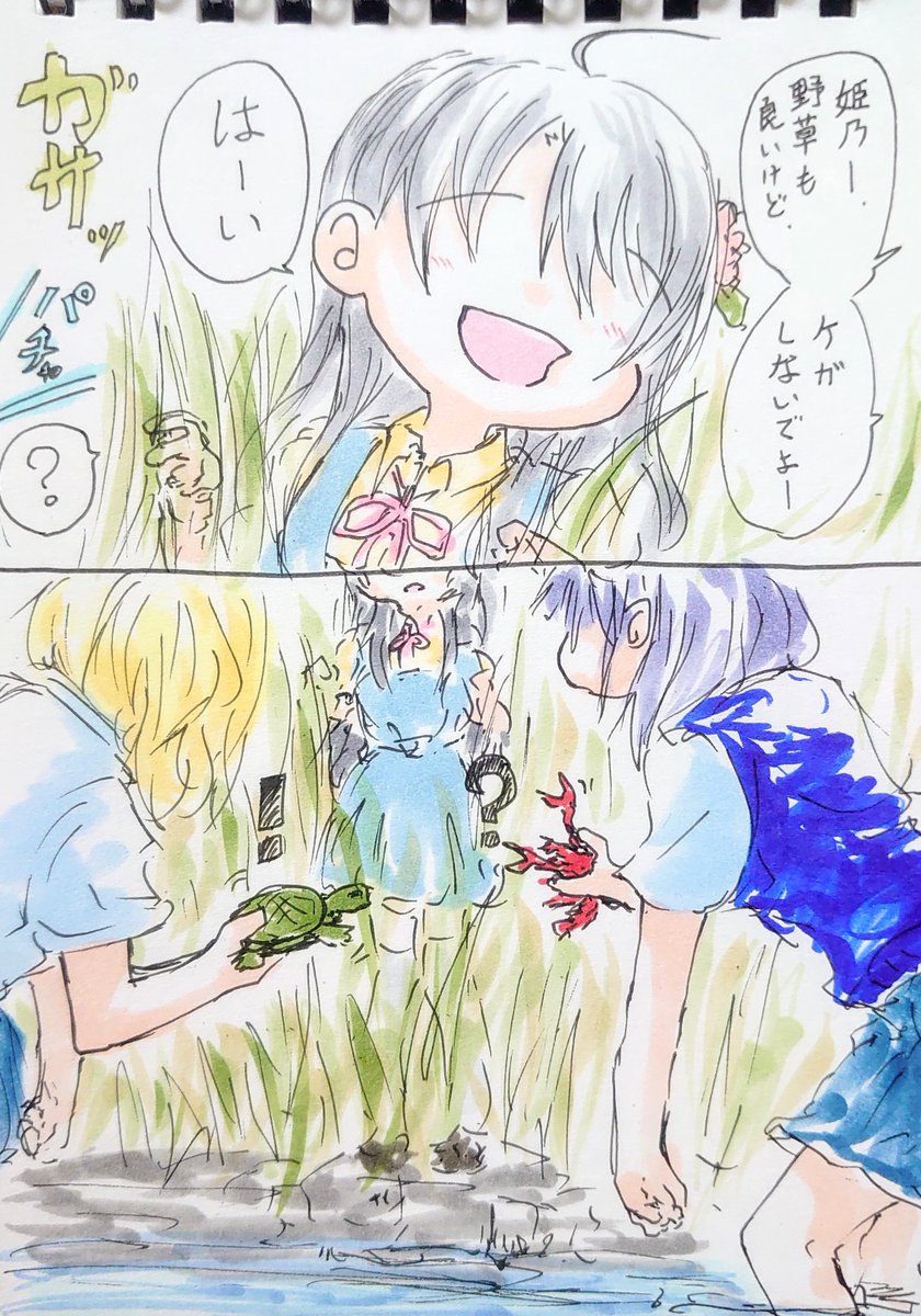 野草を見に来ただけなのに。 