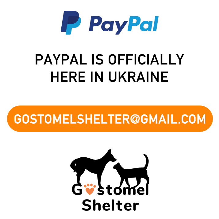 A_Doverspike's tweet photo. This war has been hard to watch, and even harder seeing all the animals suffer. Ukraine had a small furcon called WUFF, the shelter they sponsored for their charity is in dire need of help.
Please read, share, and help. 

https://t.co/hyqUeft8UN
https://t.co/2Q6RbLBClk https://t.co/zHBmjF8dXJ