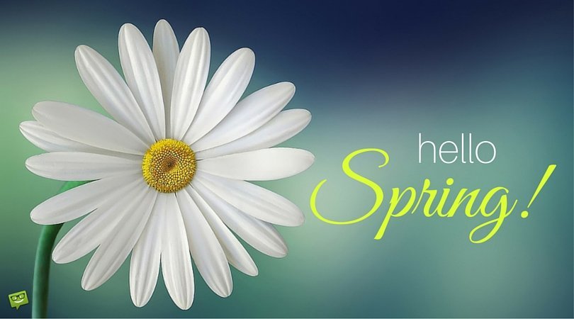 buckortwogt's tweet photo. Hello Spring!
You donβt need to blow your budget to decorate the House for Easter and Spring. Just visit your favorite discount storeβ¦ Buck or Two Plus!
Check out some awesome DIY ideas here - https://t.co/9t3tzu7QB2
#Georgetown #ABuckorTwo #springtime #DIYcrafts https://t.co/JEfVi0rjtJ