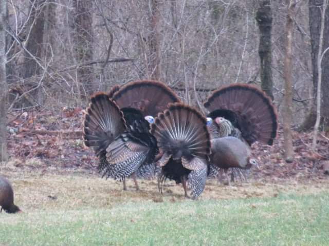 Doe & Arrow Hunting tweet media