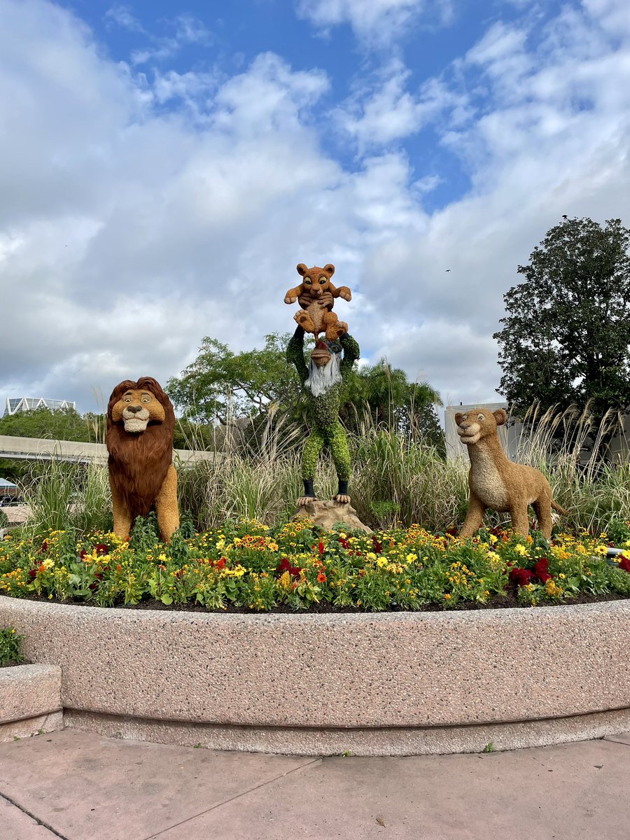 WDWNT's tweet photo. 🦁💐🌷🌻 https://t.co/xGbEP785Dd