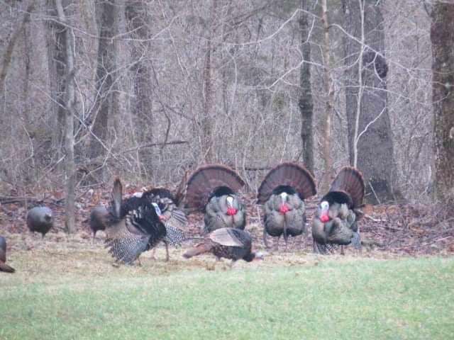 Doe & Arrow Hunting tweet media