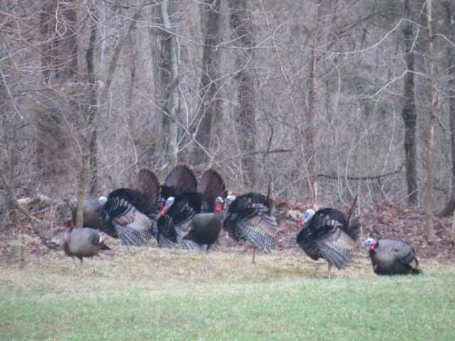 Doe & Arrow Hunting tweet media