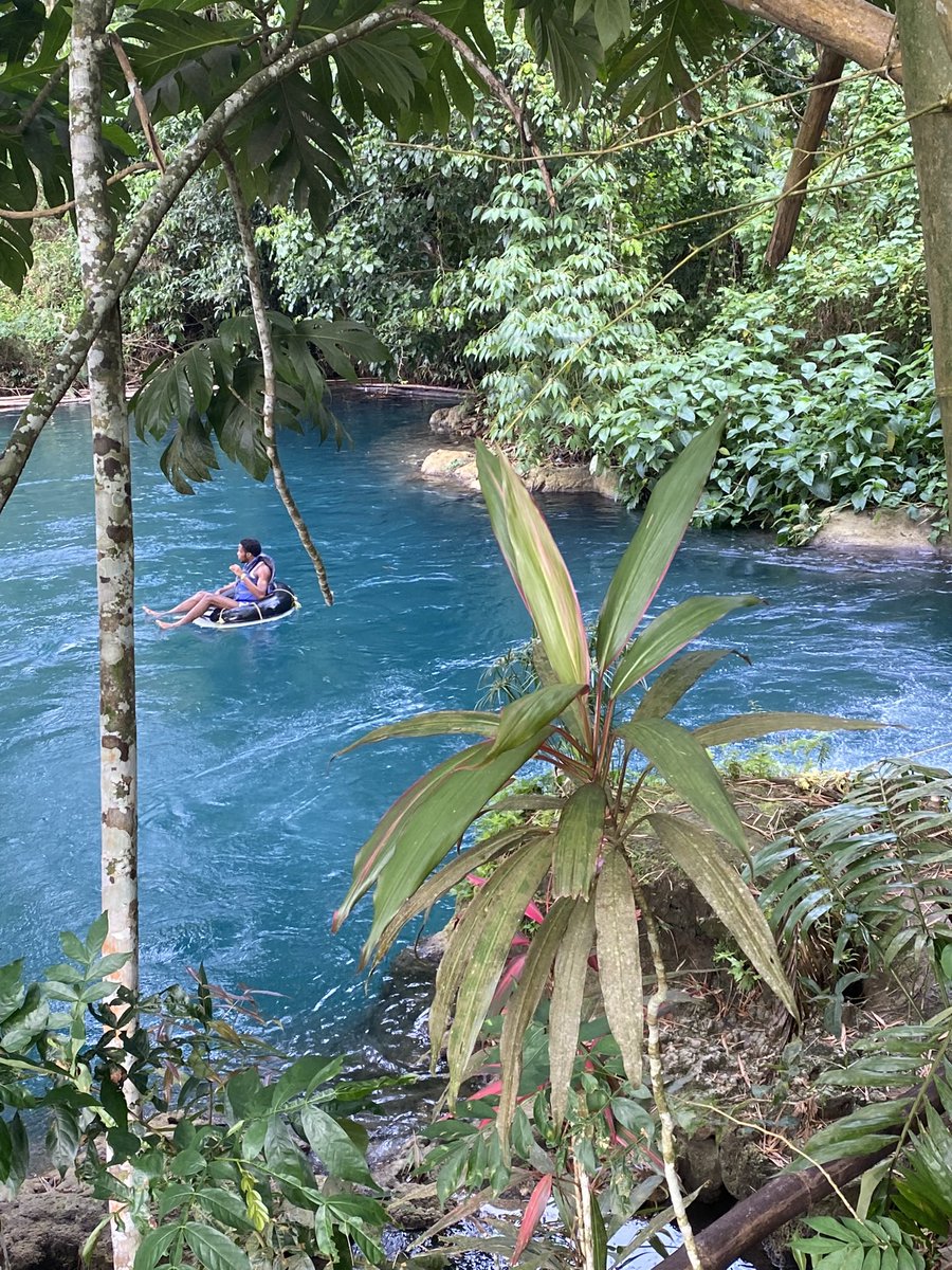 BookItBuyIt's tweet photo. Location: Thatch Hill River Park, St. Ann.
#Rental 🚗 
#flight ✈ 
#Hotel 🏨 
# Cruise 🚢 
#travelgram #wanderlust #makethisgoviral #adventure #explore #jetlife #travelblogger #travelphotography #exploretocreate #welivetoexplore #tourist #jet #jetphotos #theworldupclose #lust https://t.co/xRkpUvcP5p