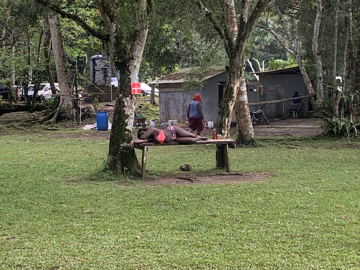 BookItBuyIt's tweet photo. Location: Thatch Hill River Park, St. Ann.
#Rental 🚗 
#flight ✈ 
#Hotel 🏨 
# Cruise 🚢 
#travelgram #wanderlust #makethisgoviral #adventure #explore #jetlife #travelblogger #travelphotography #exploretocreate #welivetoexplore #tourist #jet #jetphotos #theworldupclose #lust https://t.co/xRkpUvcP5p