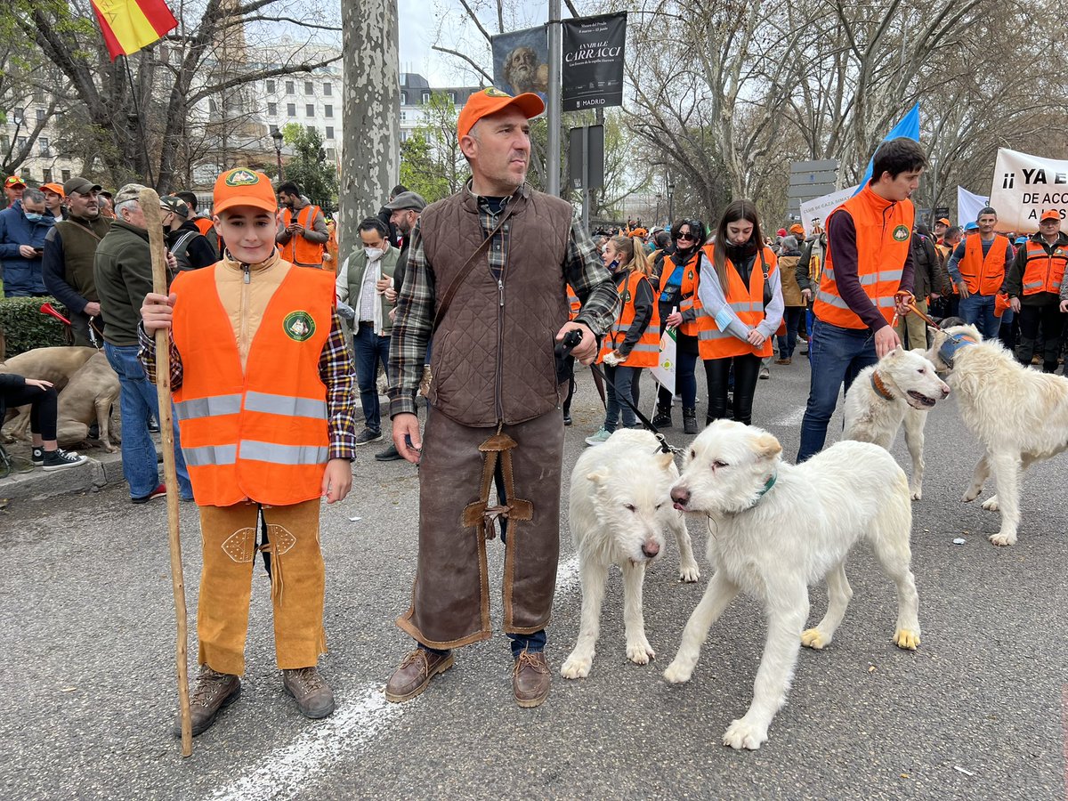 NUESTROS PERROS NO SE TOCAN
son nuestra familia. 🐕 #20MRural #caza #sialacaza