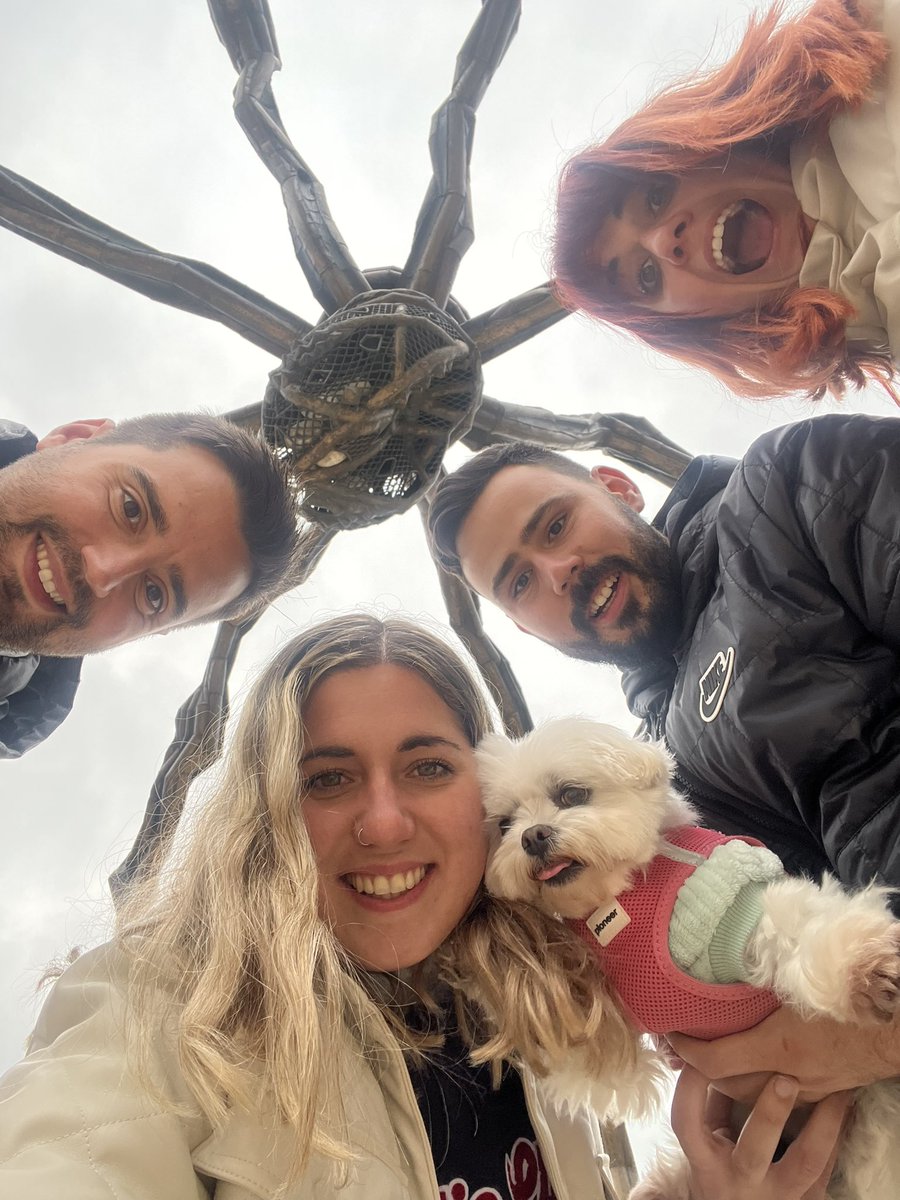 VicentFloresPa1's tweet photo. Bilbo 👋🏻 https://t.co/tY4HlFECO3