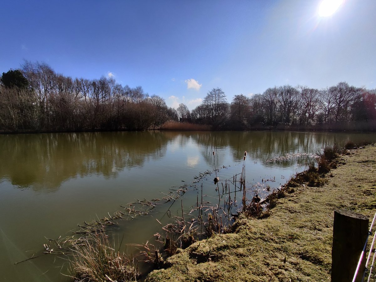 LindowCommon's tweet photo. First day of astronomical spring. Now spring by all measures. More and more flowers are blooming, temperatures warming up.
Enjoy it! 🌷🌼☀️
#LindowCommon, #Wilmslow https://t.co/0mPGxOoqn8