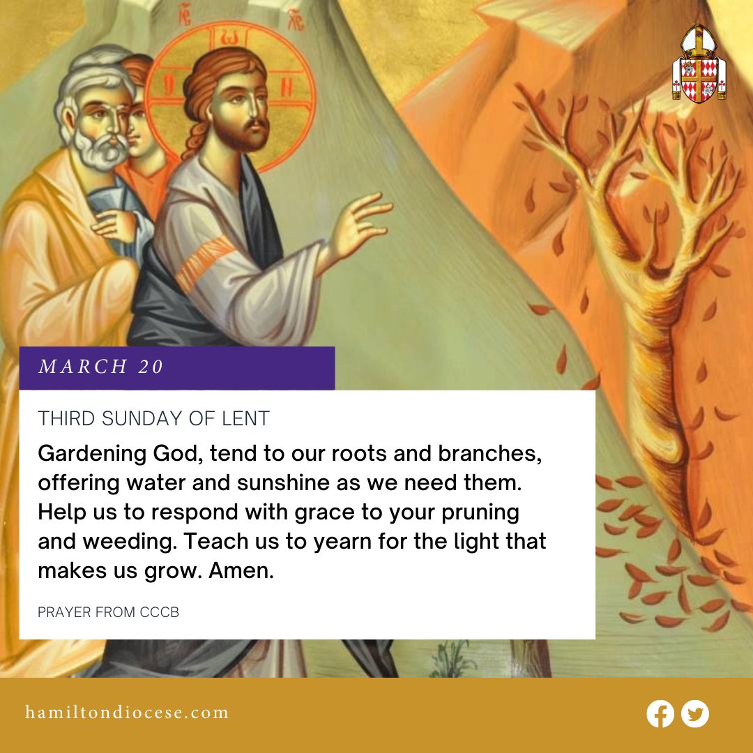 DioceseHamilton's tweet photo. On the third Sunday of Lent, the Gospel includes the parable of a fig tree that bears no fruit. Today's parable suggests that God is  working with us in patience and in hope that one day we will show evidence that such work is not in vain. https://t.co/3p2trqp18P