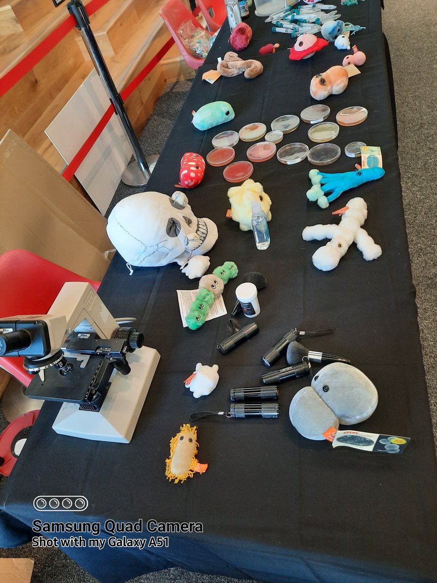 ShowMeTheSci's tweet image. We&apos;re so excited to be at @Techniquest today. Come, say hi and have a go at our activities.

#BritishScienceWeek #BritishScienceWeek2022 #scicomm #Science #STEM #FamilyFun
