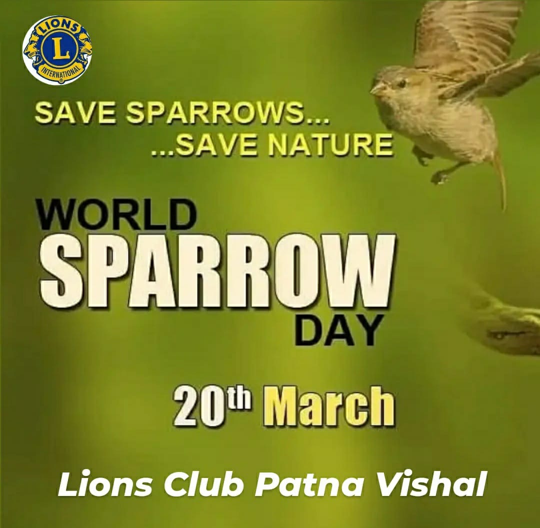 LionsPatna's tweet photo. Save Sparrow...Ek Prayas https://t.co/ML1iULmjj5