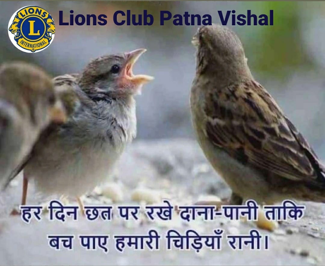 LionsPatna's tweet photo. Save Sparrow...Ek Prayas https://t.co/ML1iULmjj5