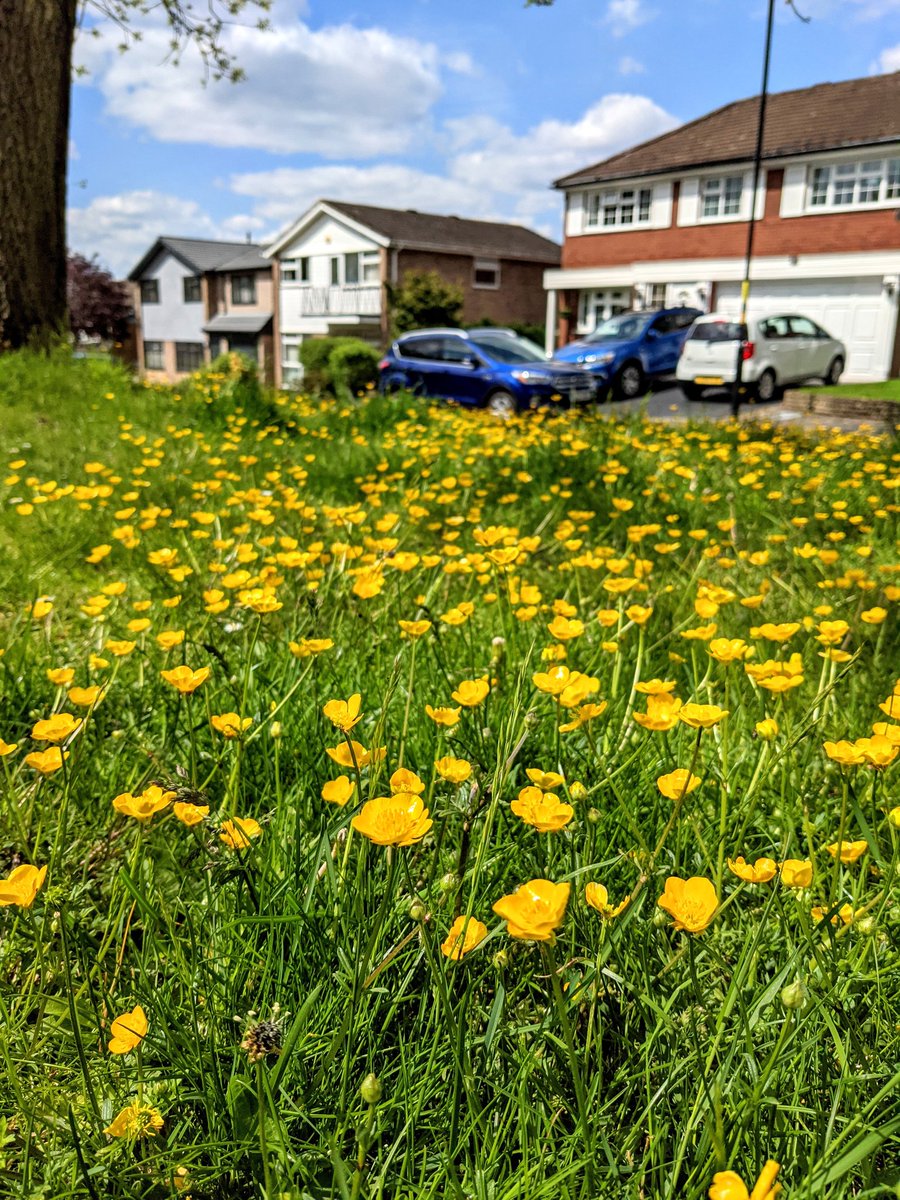 Birmingham & Black Country Wildlife Trust tweet media
