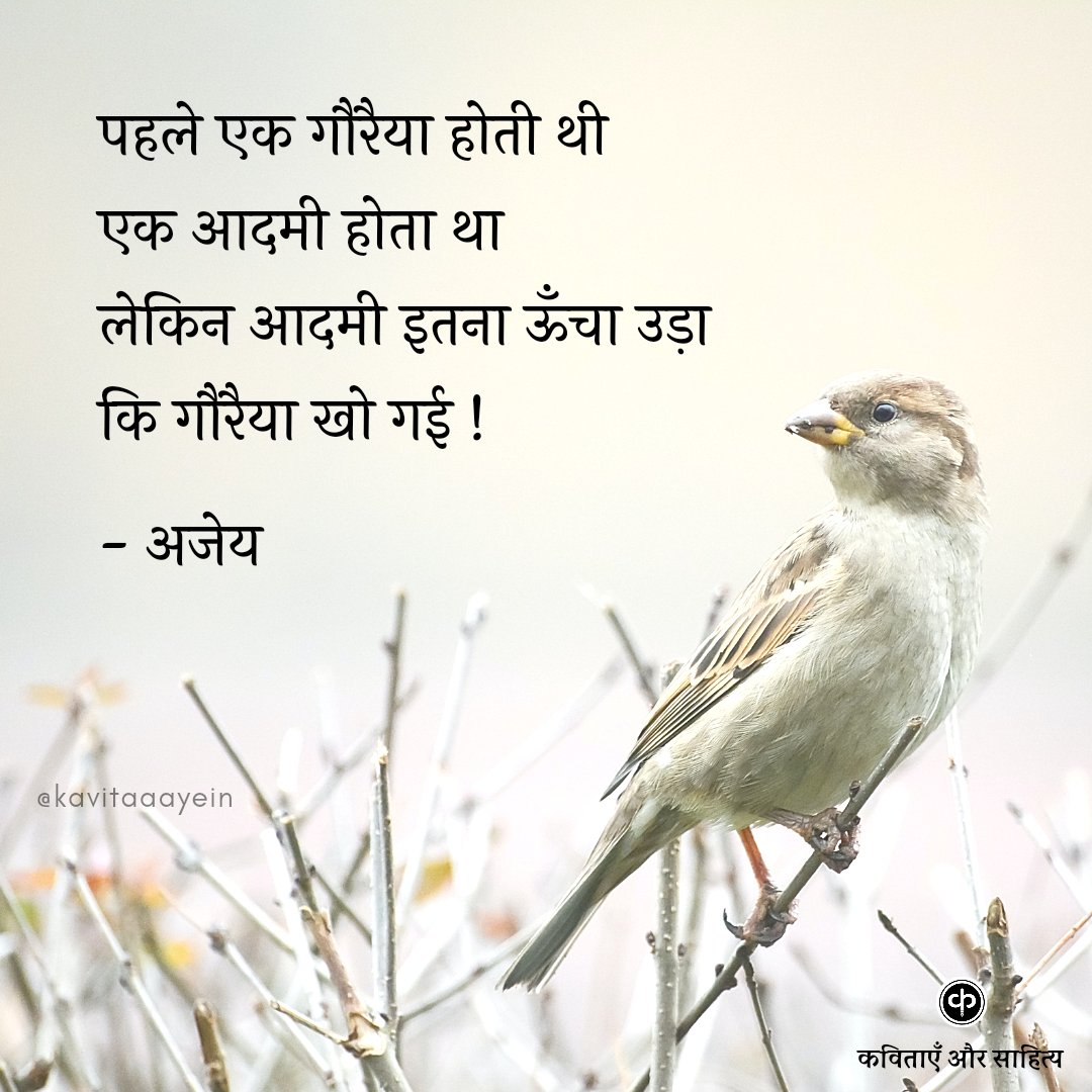 kavitaaayein's tweet photo. विश्व गोरैया दिवस 🐦 https://t.co/TeH3x0xwHv