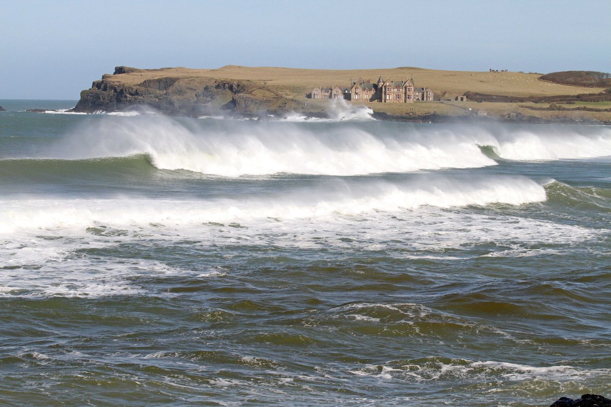 Norman Bell tweet media