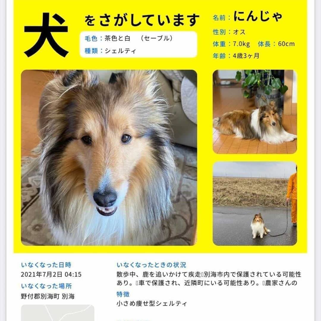 チィ Vwtmem1gcy7tp7t Twitter