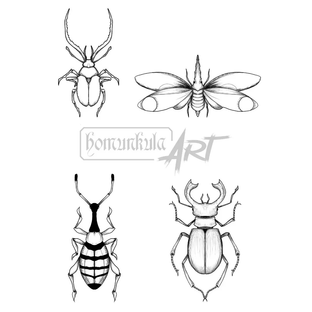 homunkula00's tweet photo. #bug #fineart #lineart https://t.co/VCnYHgoA74