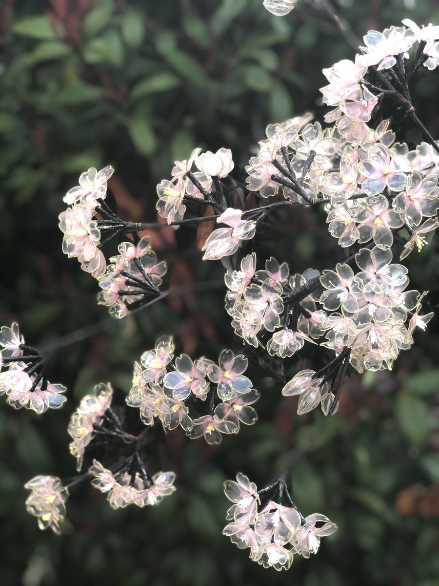 ZERO_Style_D's tweet photo. Google検索にひっかかれー

デップアート藤

デップアート桜

デップアート紫陽花

デップアート薔薇

＃デップアート
＃玲屋 https://t.co/R6m6y2cxvw
