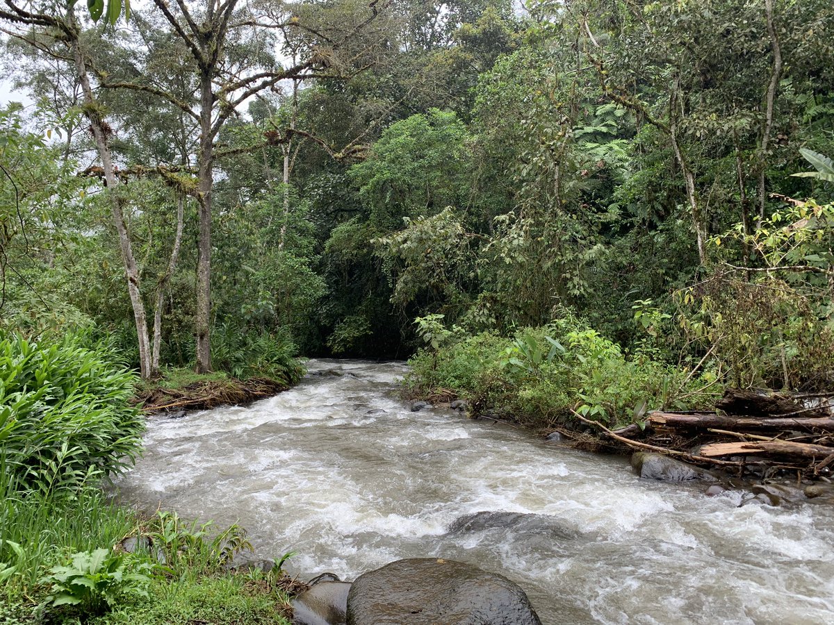 Matt Eade tweet media