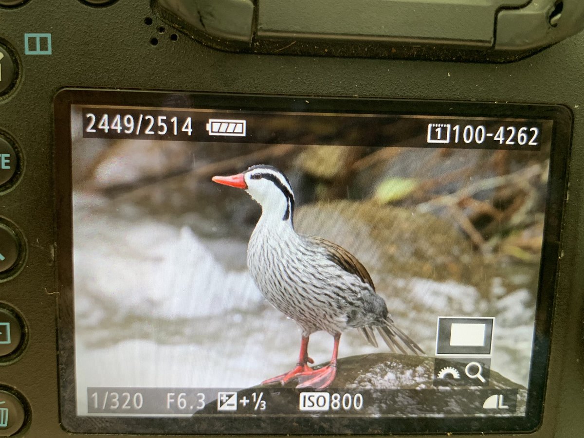 Matt Eade tweet media