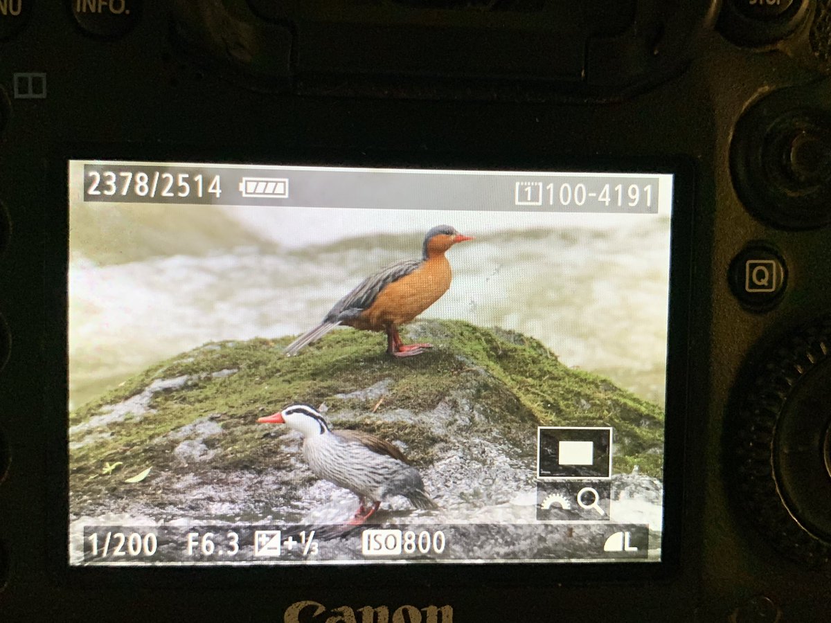 Matt Eade tweet media