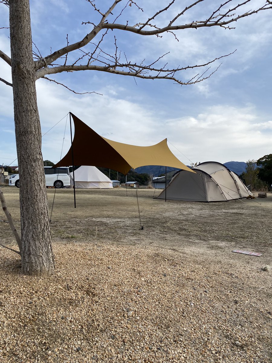 telo テーロタープcrescent クレセントデザートグレー