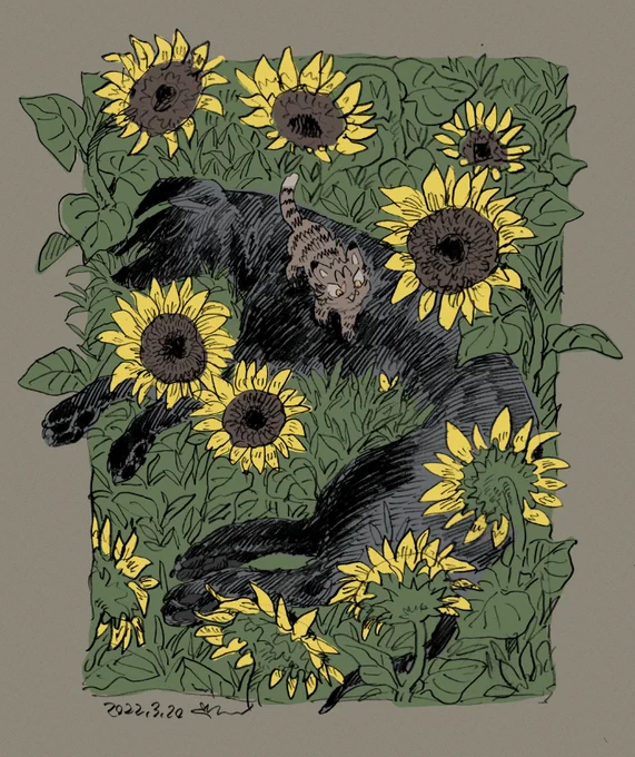 🌻 