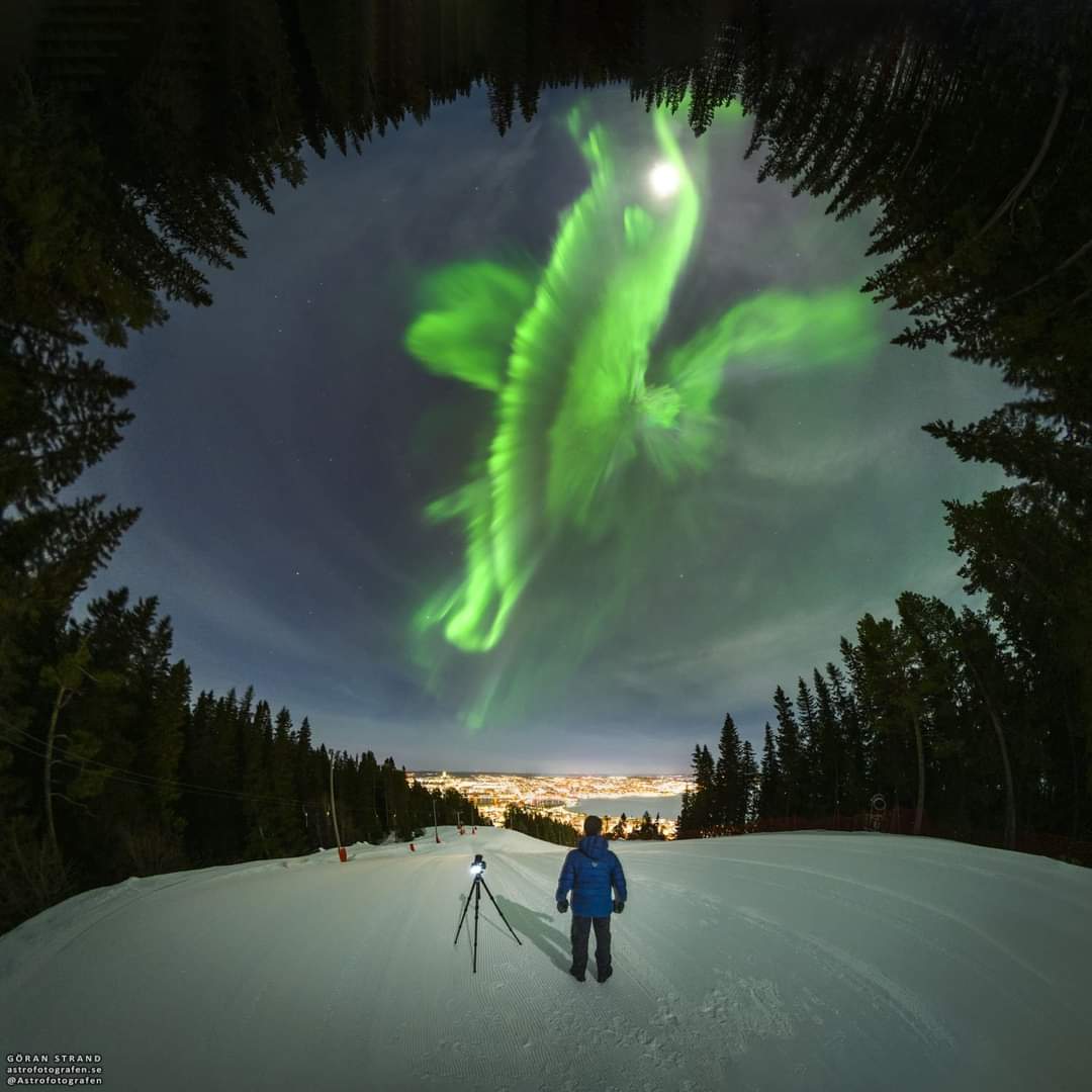 LMPositif's tweet photo. 🇸🇪 Magnifique aurore boréale photographiée dans le ciel de la Suède ✨ 🤩

📸 Göran Strand https://t.co/vLyHRpmuCv
