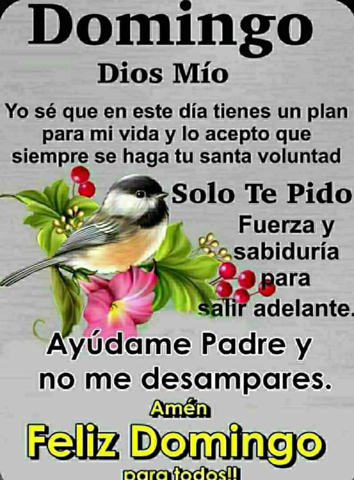 flor_idalina's tweet photo. @13GabrieL03 @MECpy @MaritoAbdo https://t.co/LmduNDXHZm