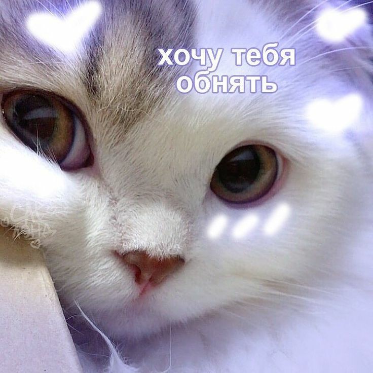 GingerFebruary's tweet photo. @dksbxuempa @wildreindeer888 @lunavayaluna @vrednayamordaha @netkompot Юленькаааааа
💜💜💜💜💜💜💜💜💜💜💜💜💜 https://t.co/ynnbZAZlLq