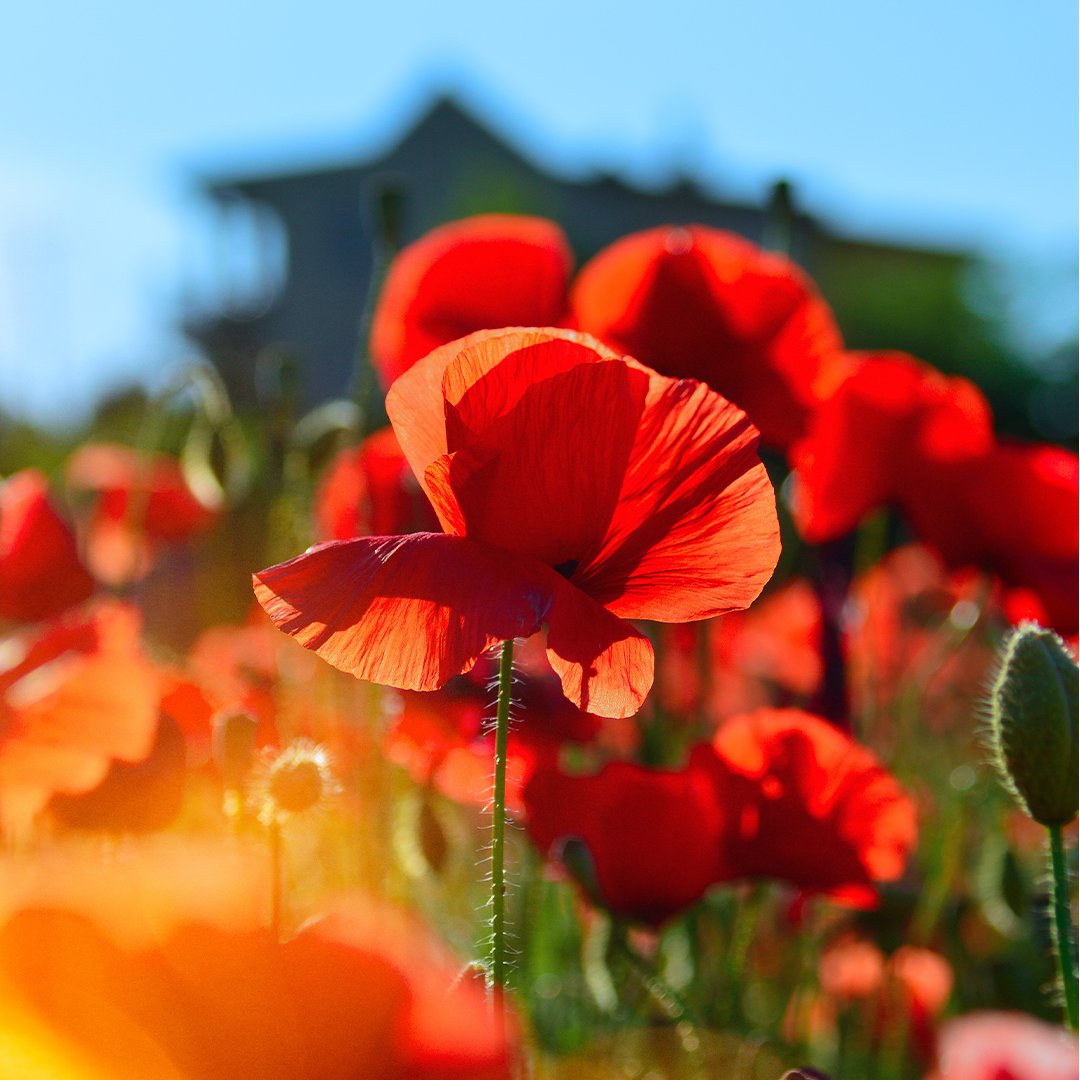 SynergiR's tweet photo. Say goodbye to your winter hats, it's officially the first day of spring!
#TheSynergiWay #synergirecruitment #spring https://t.co/EkMCntliF1