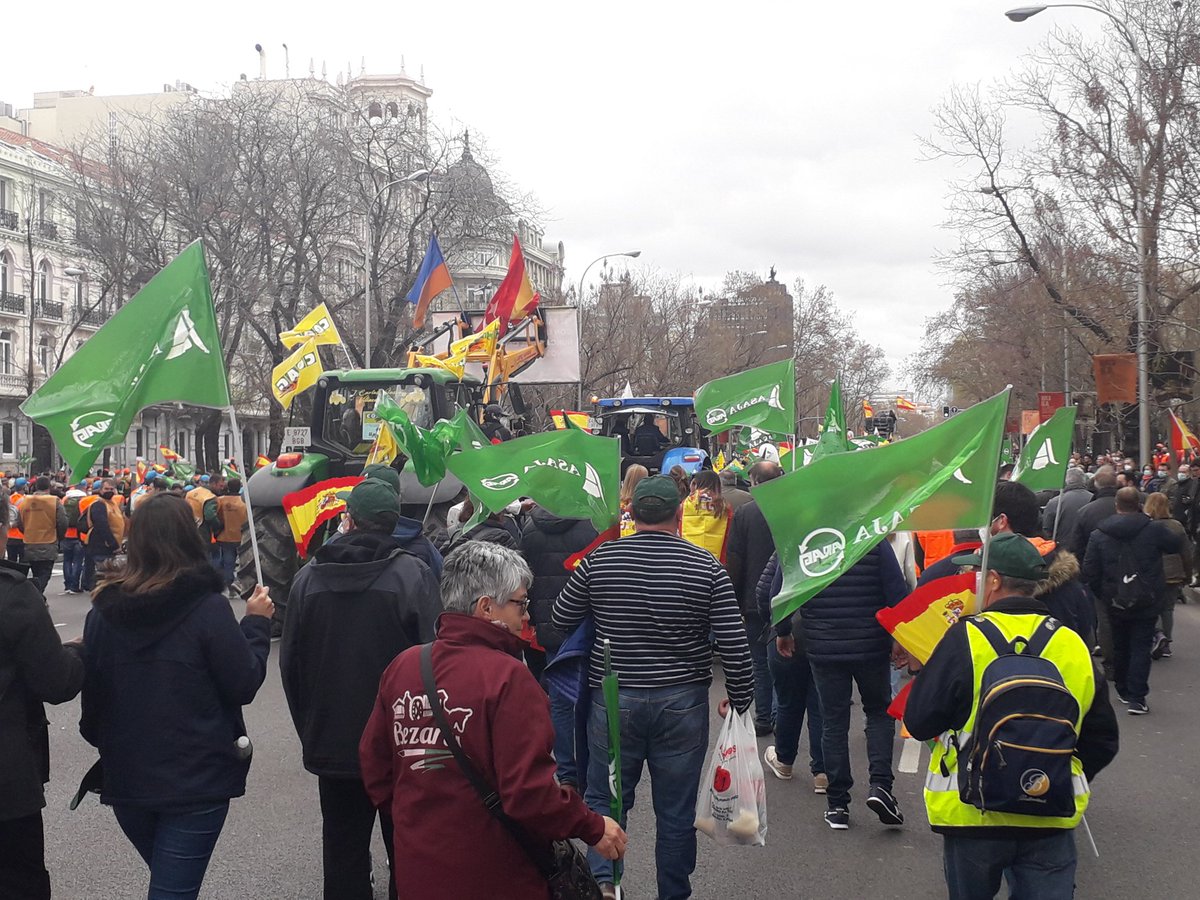 ✅ Hoy en el #20M de #Madrid 🔝 Sí a nuestros #agricultores y #ganaderos 👉 porque si el campo muere la #ciudad no come 💪

#MundoRural #20MRural #Rural #RazaChurra #Ovino #Ganaderia #Agricultura #CyL #SomosCampo #Rural